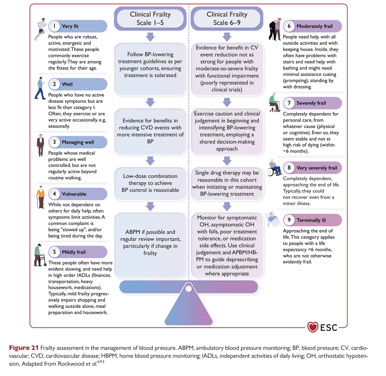 ESC bp2024 — Figure 21