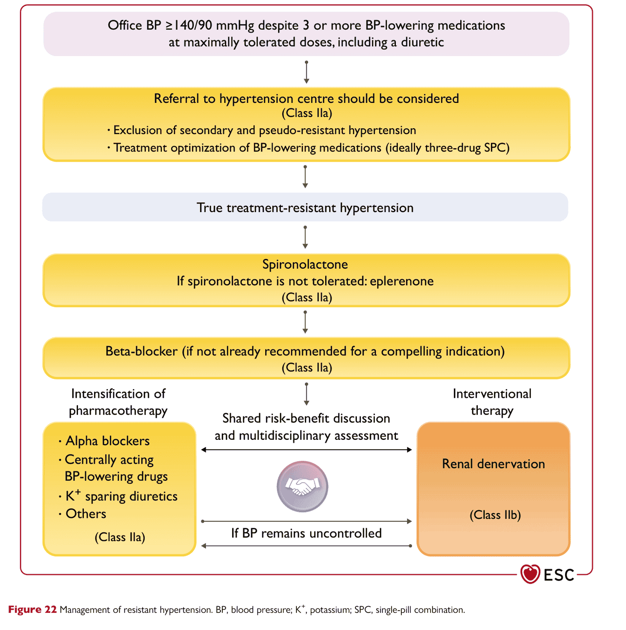 ESC bp2024 — Figure 22