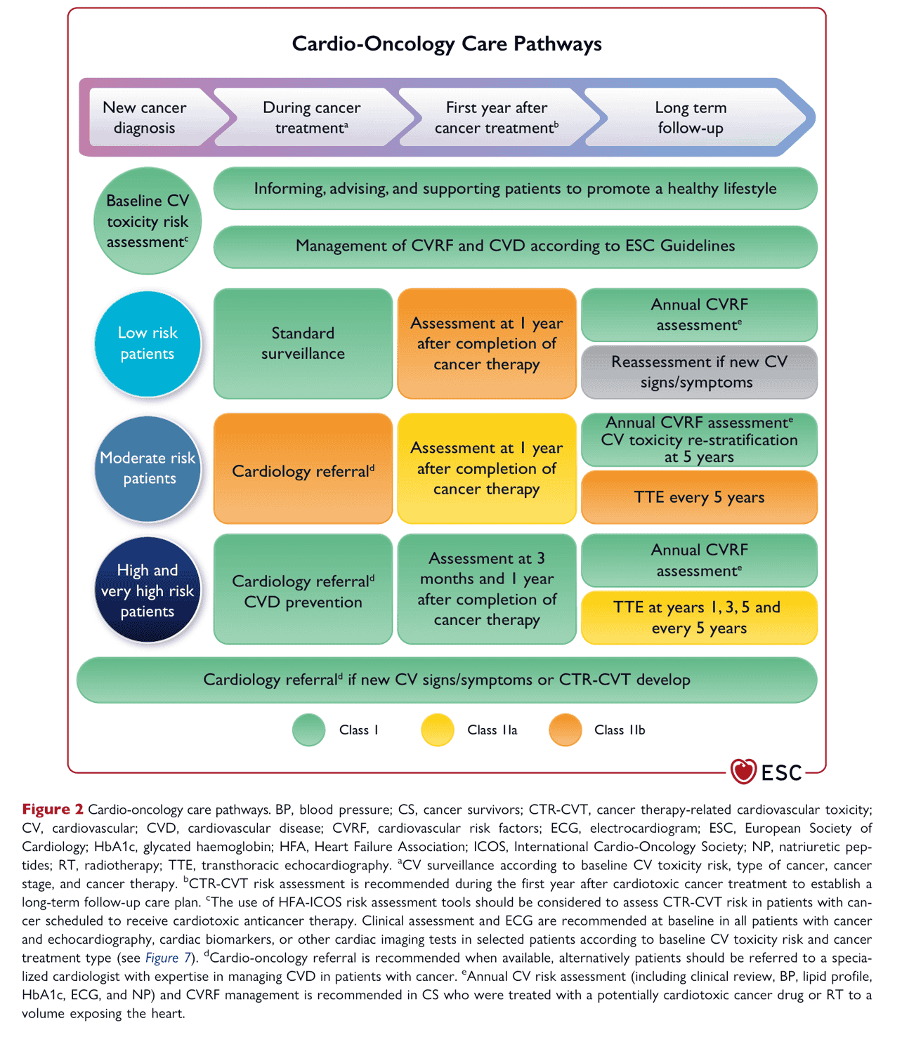ESC cardioonc2022 — Figure 2