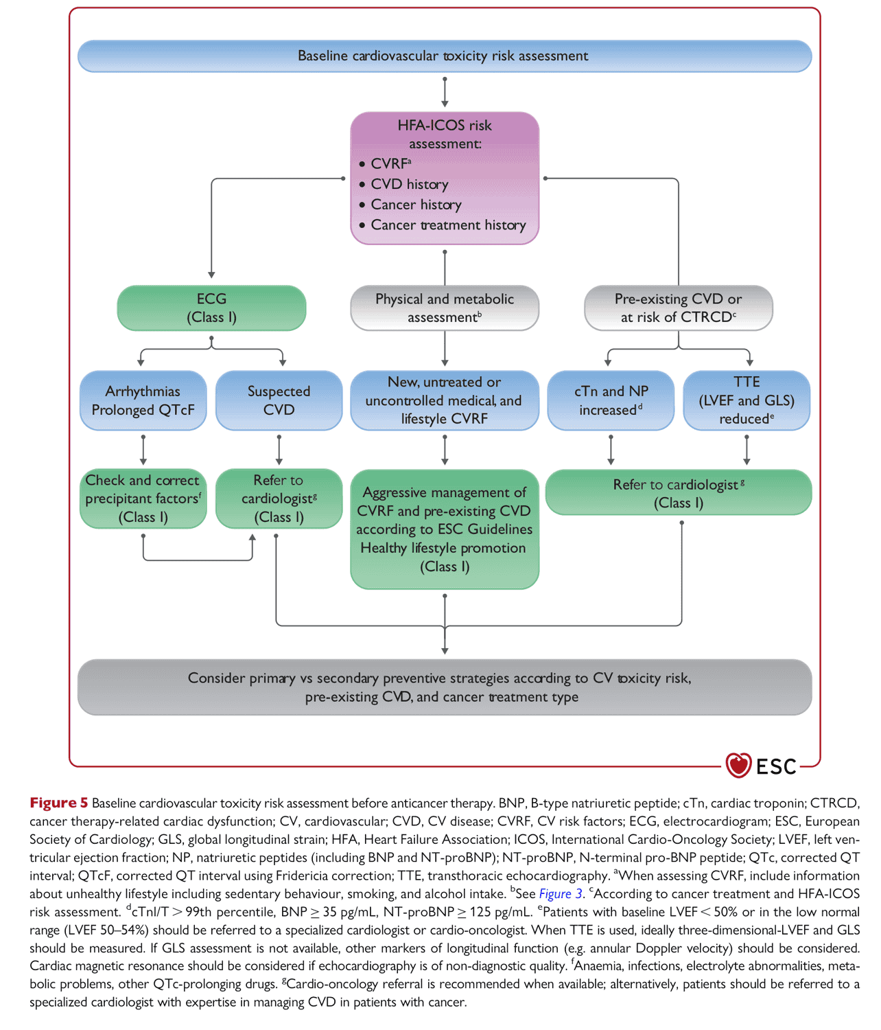 ESC cardioonc2022 — Figure 5