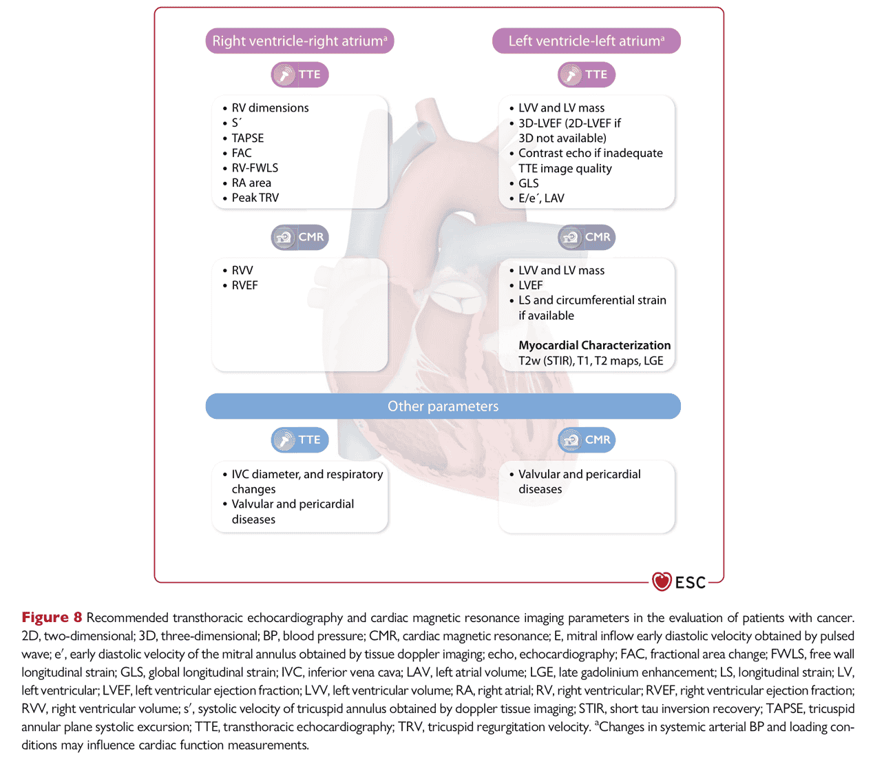 ESC cardioonc2022 — Figure 8