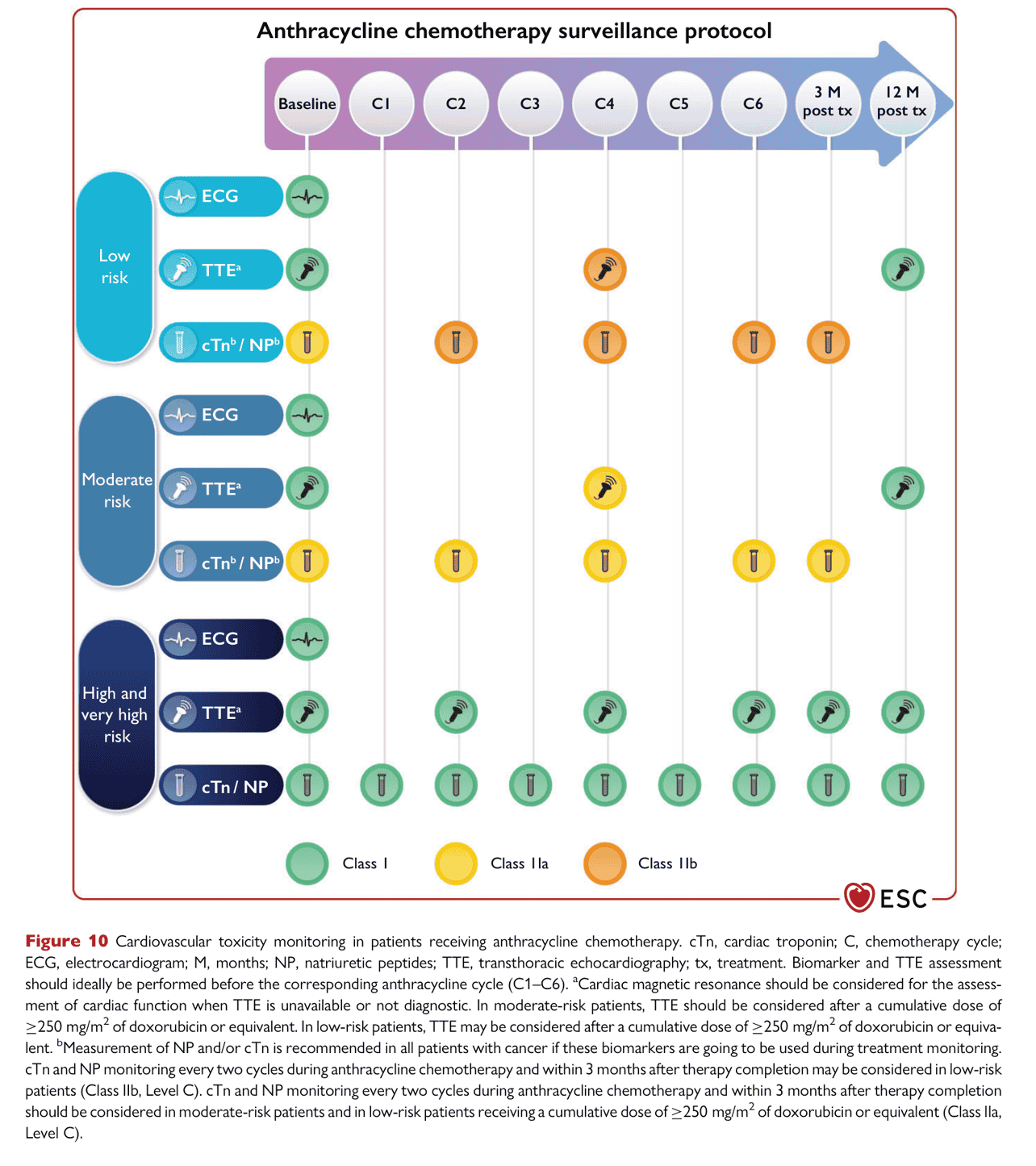 ESC cardioonc2022 — Figure 10