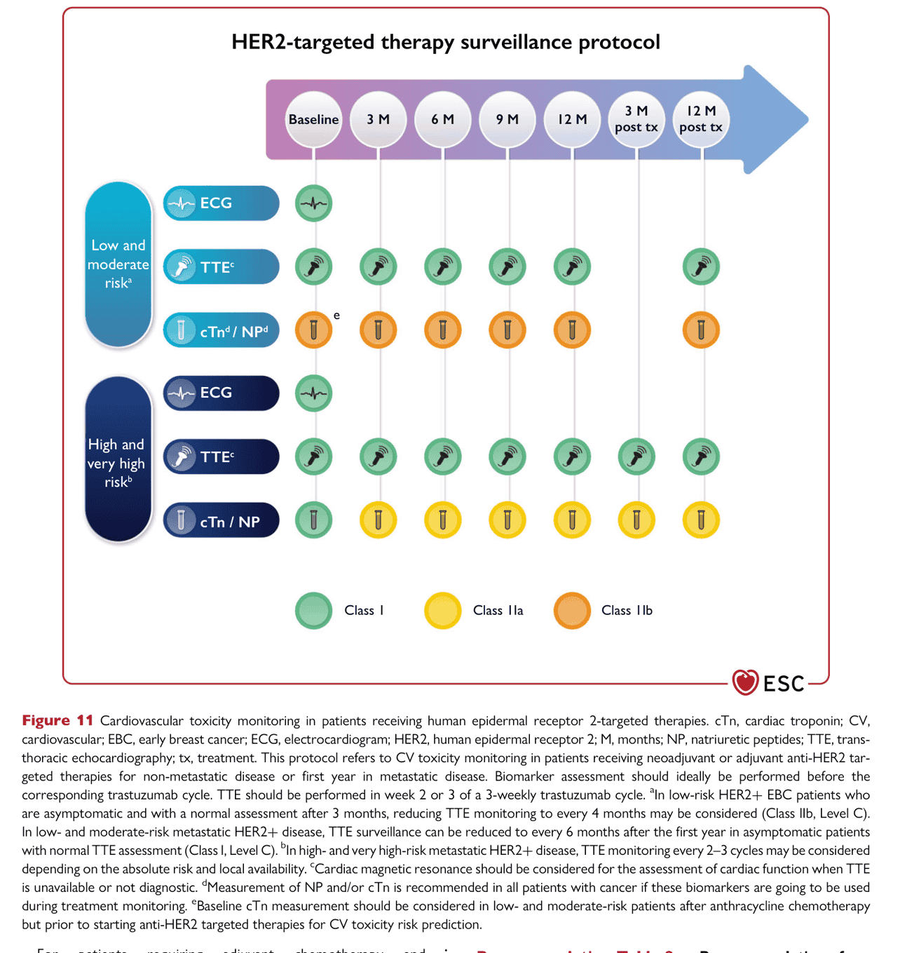 ESC cardioonc2022 — Figure 11