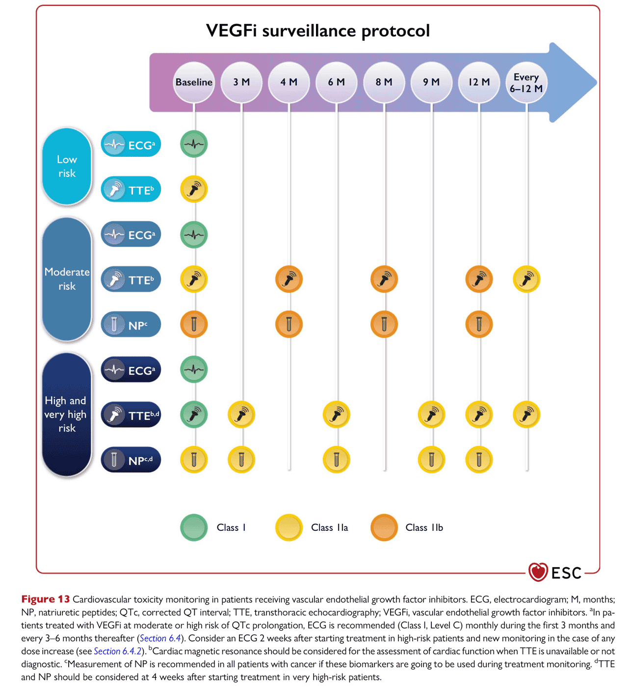ESC cardioonc2022 — Figure 13