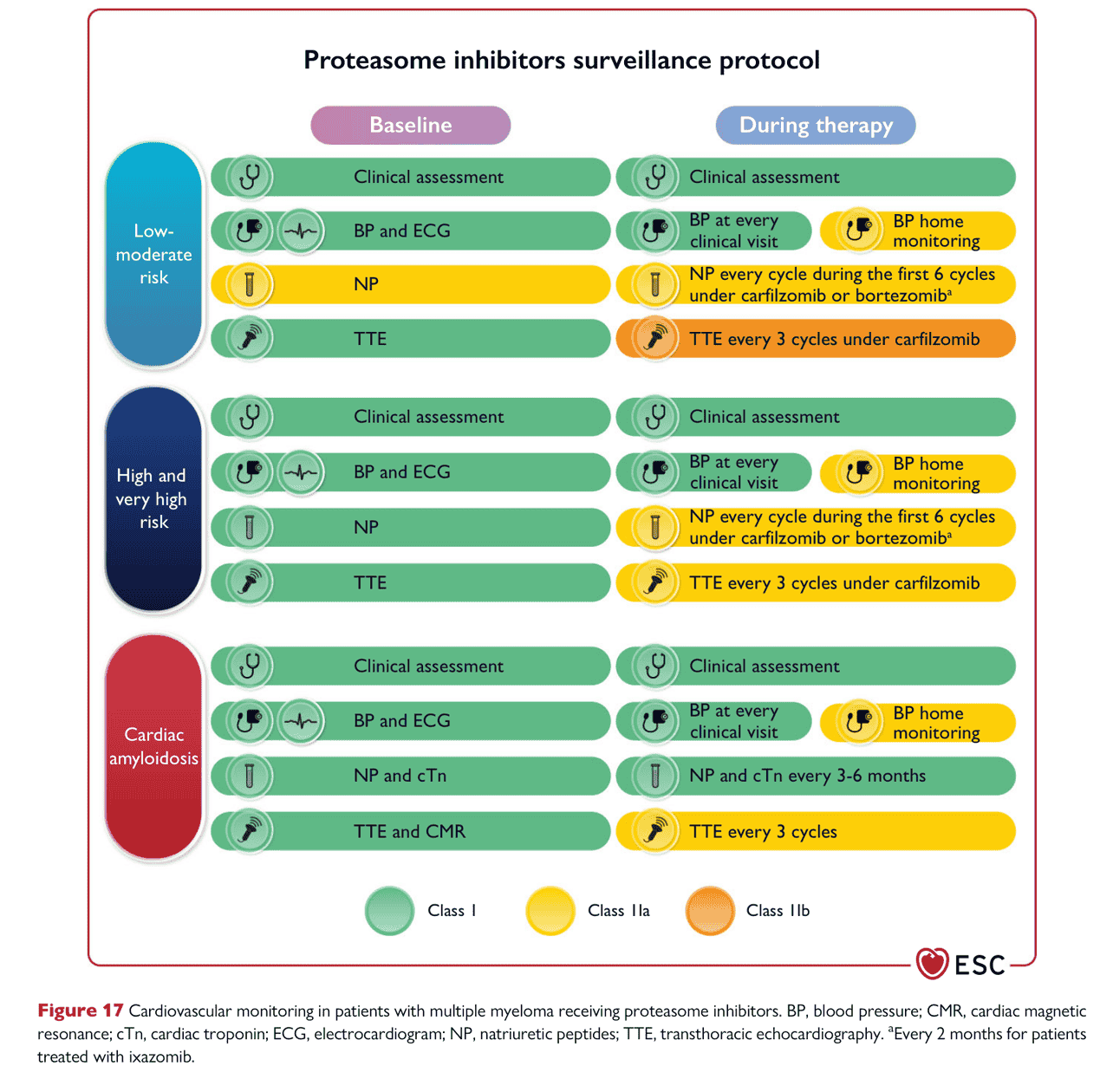 ESC cardioonc2022 — Figure 17