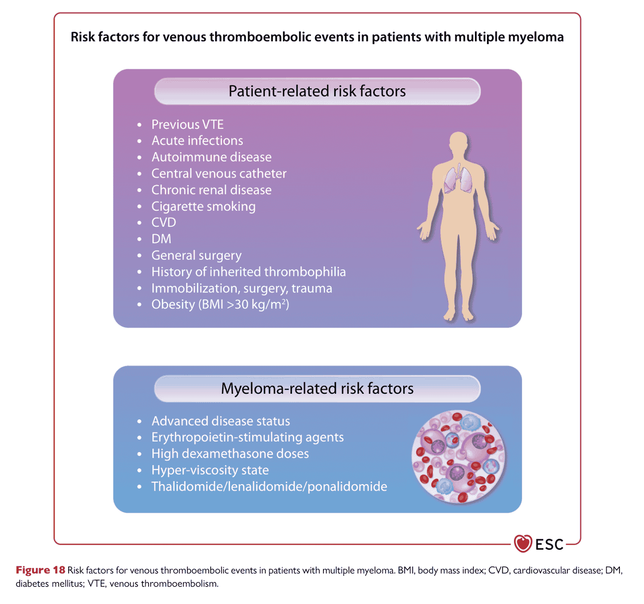ESC cardioonc2022 — Figure 18