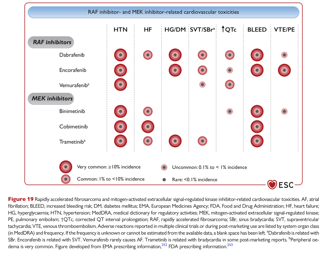 ESC cardioonc2022 — Figure 19