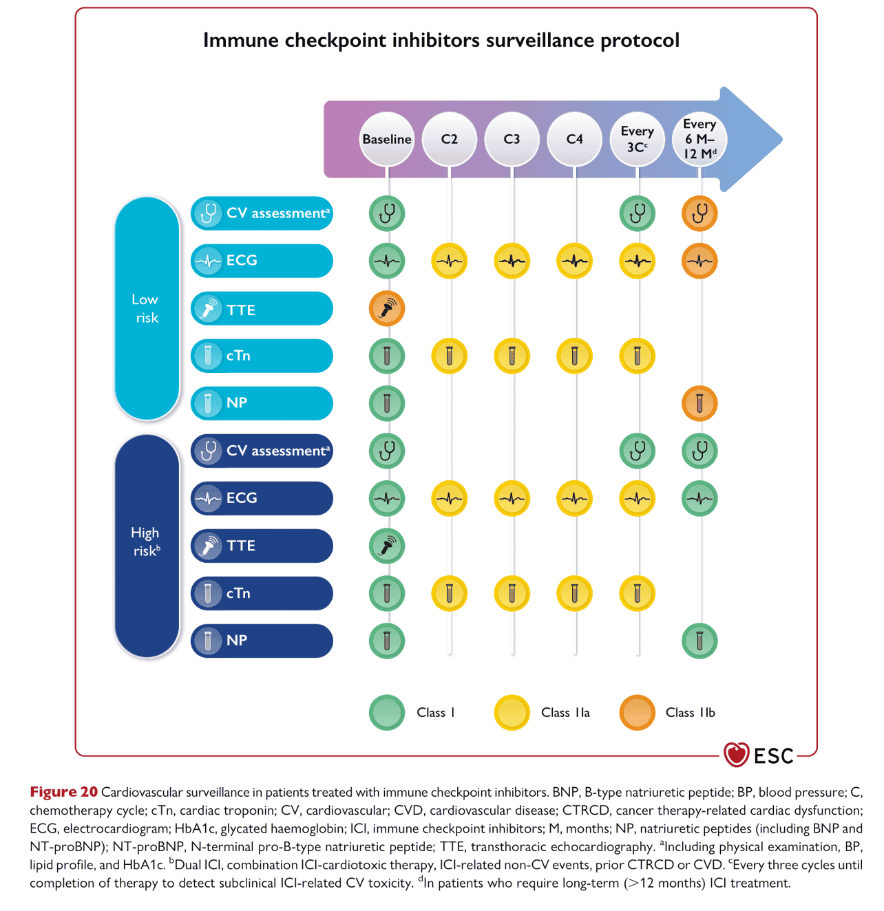 ESC cardioonc2022 — Figure 20