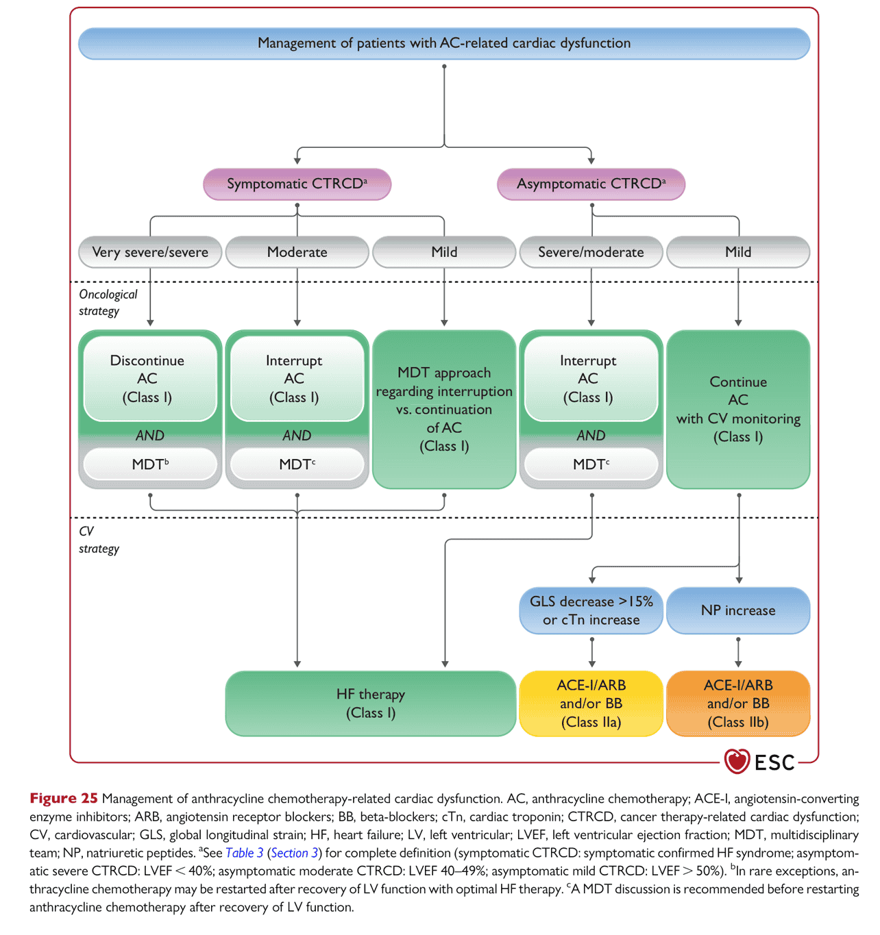 ESC cardioonc2022 — Figure 25