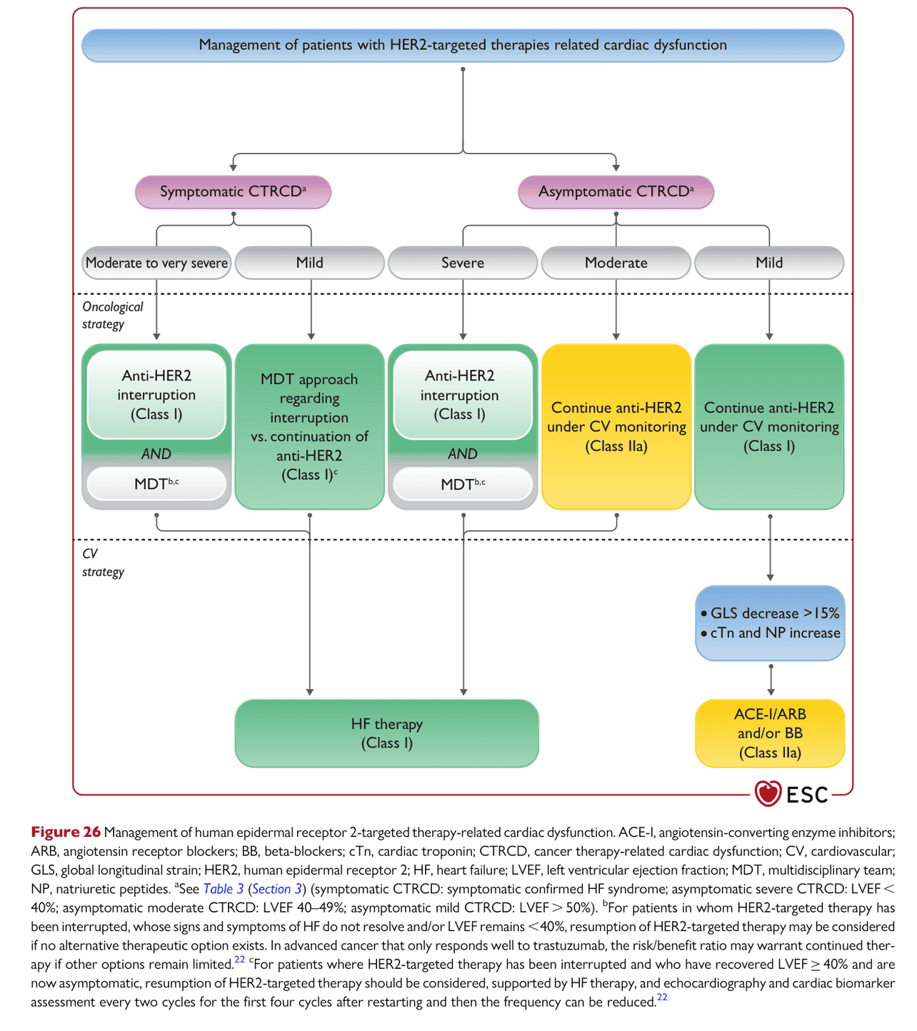 ESC cardioonc2022 — Figure 26