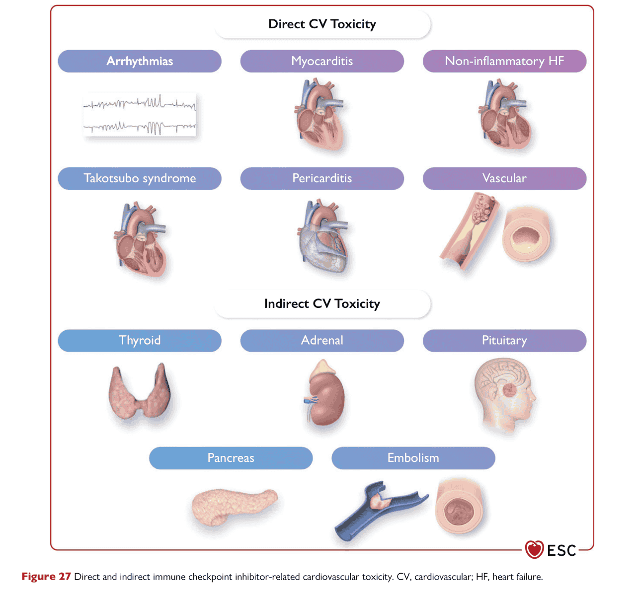 ESC cardioonc2022 — Figure 27