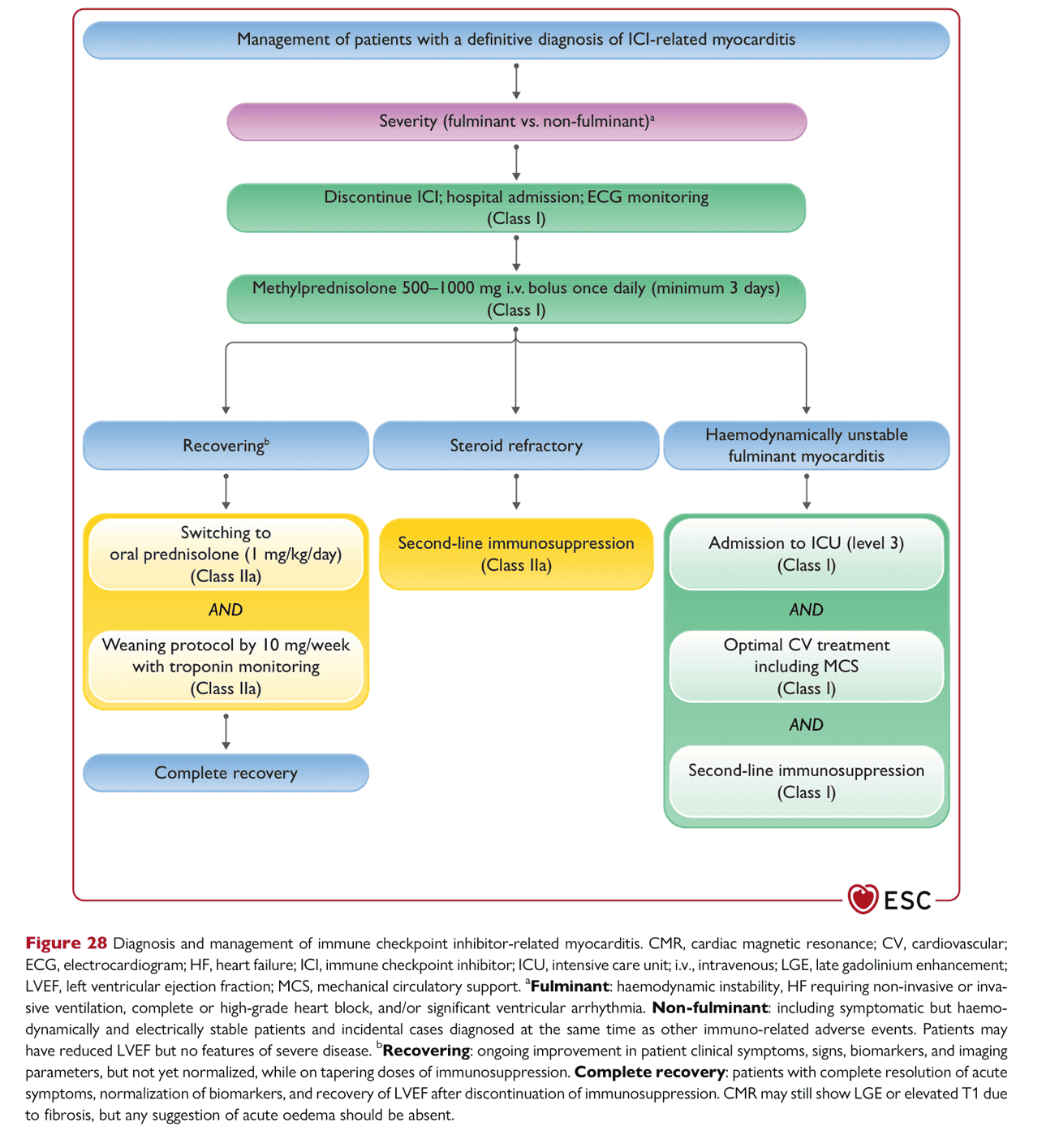 ESC cardioonc2022 — Figure 28