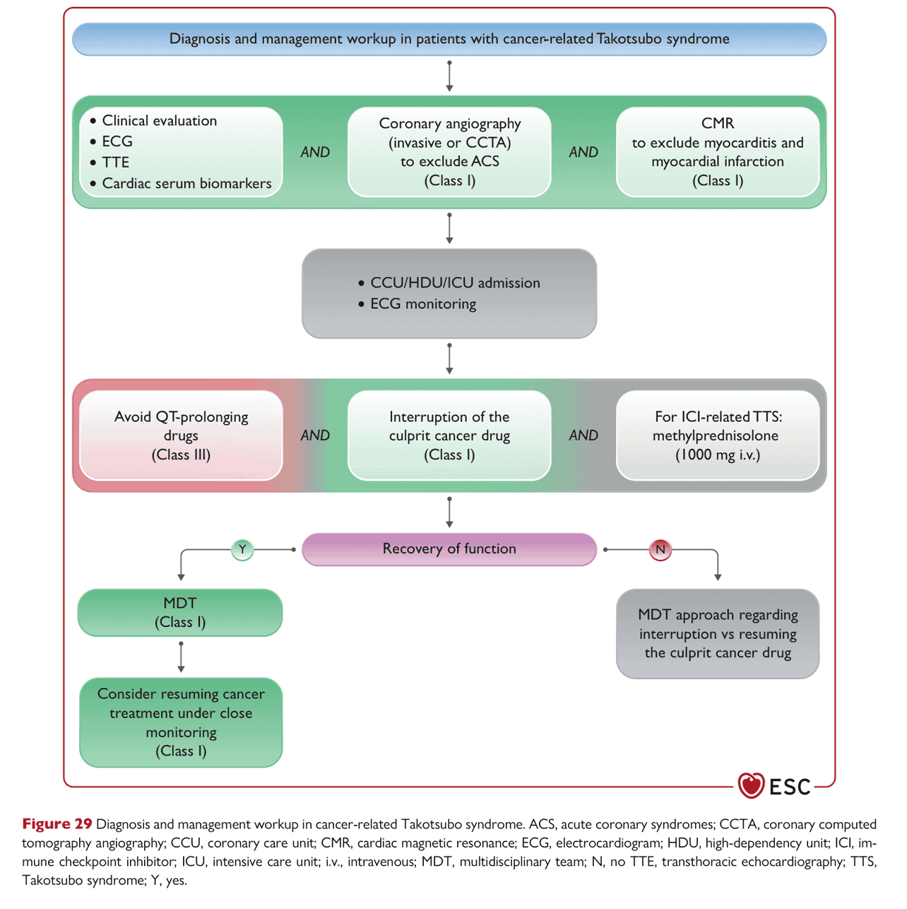 ESC cardioonc2022 — Figure 29