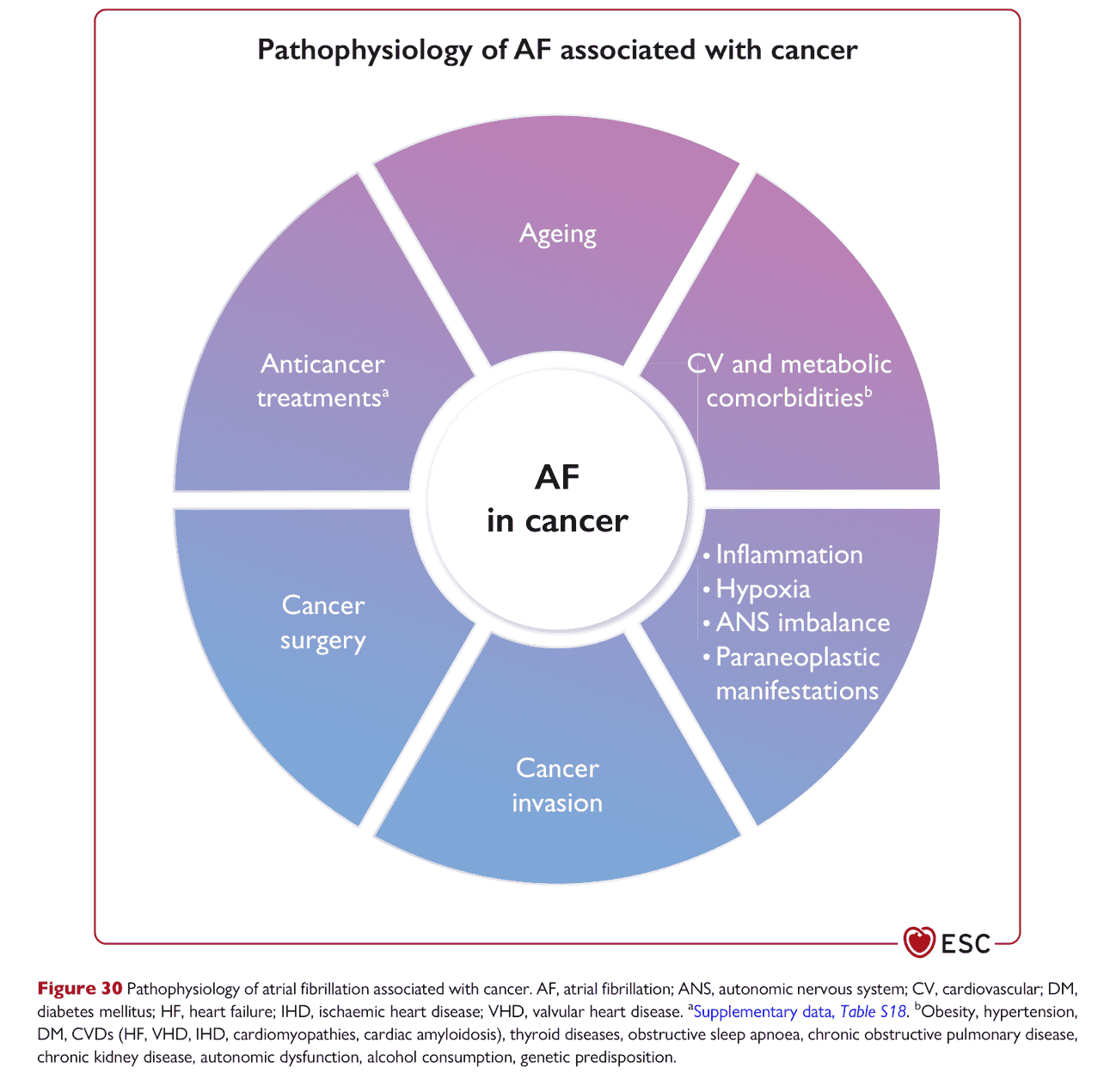 ESC cardioonc2022 — Figure 30