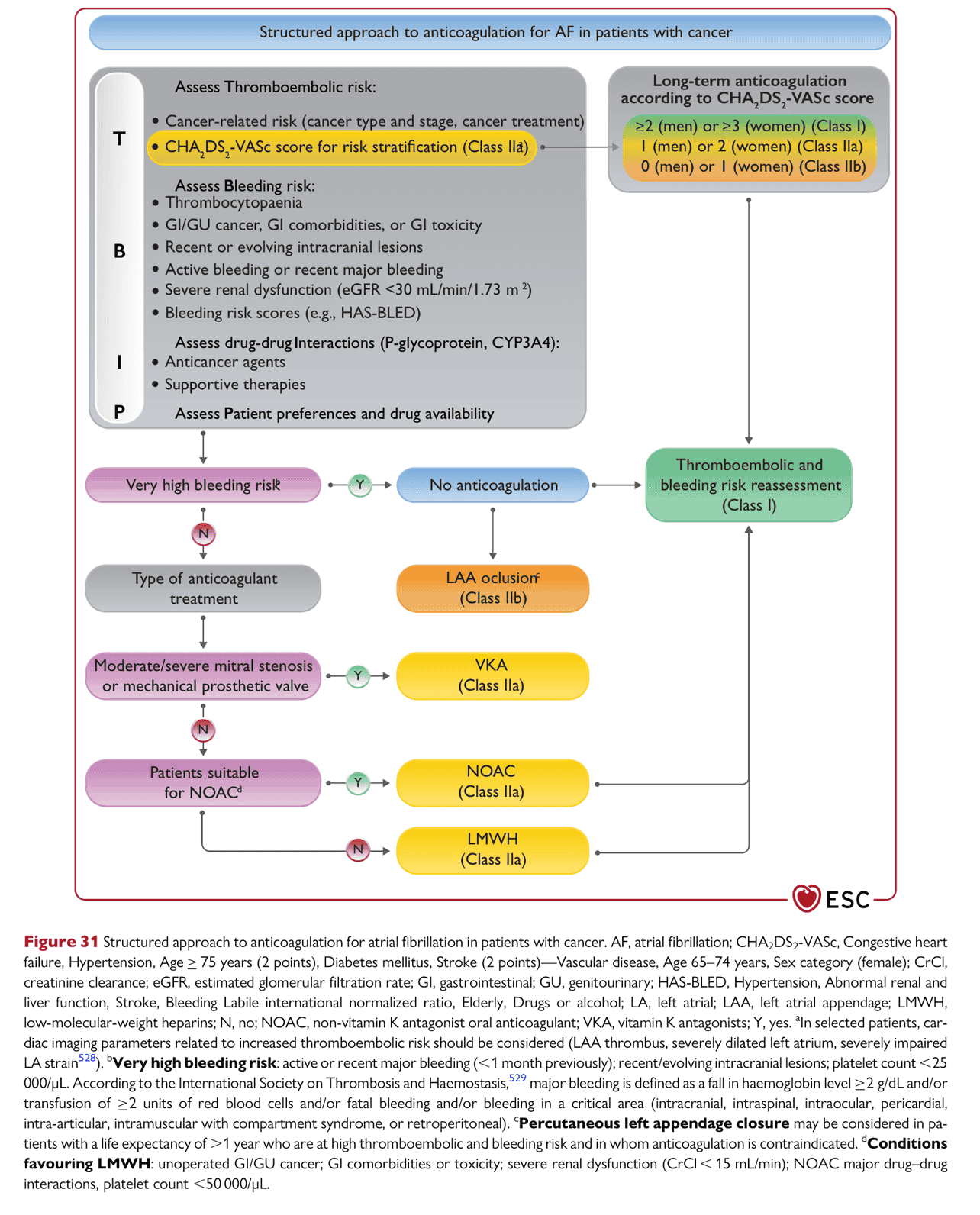 ESC cardioonc2022 — Figure 31