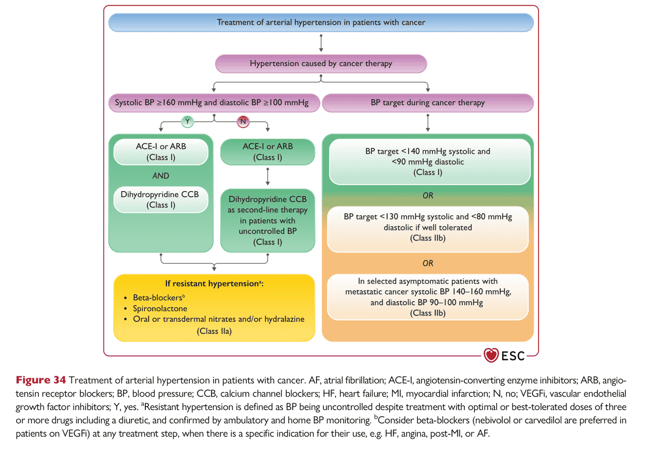 ESC cardioonc2022 — Figure 34