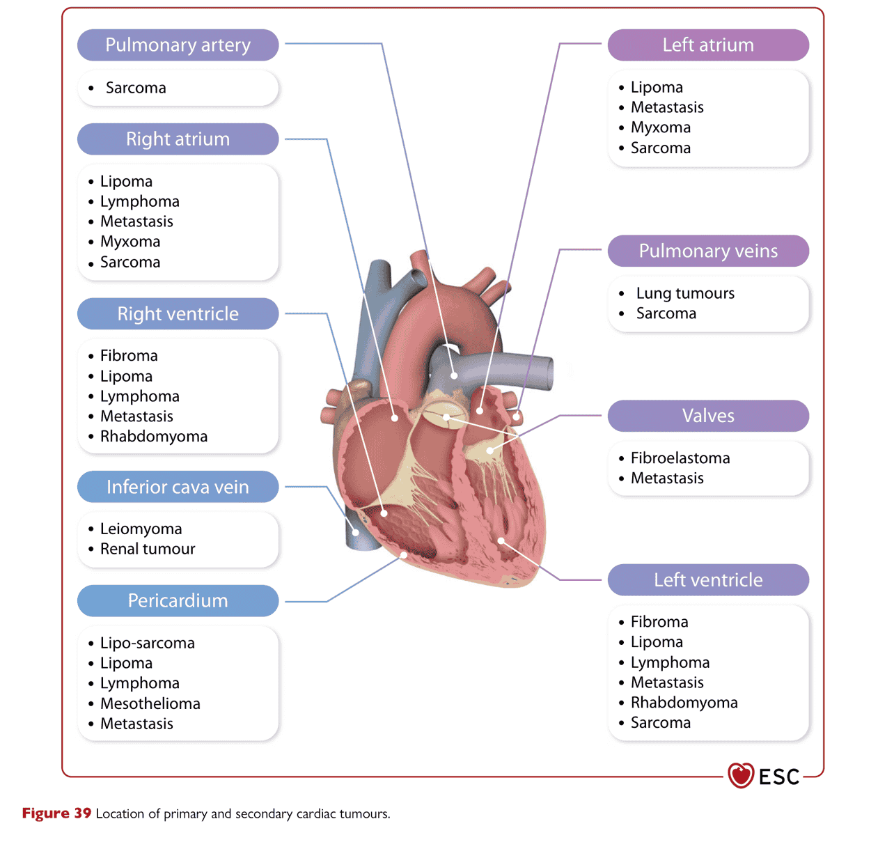 ESC cardioonc2022 — Figure 39