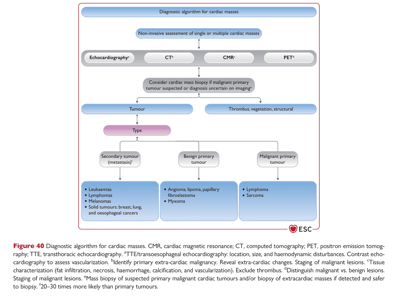 ESC cardioonc2022 — Figure 40