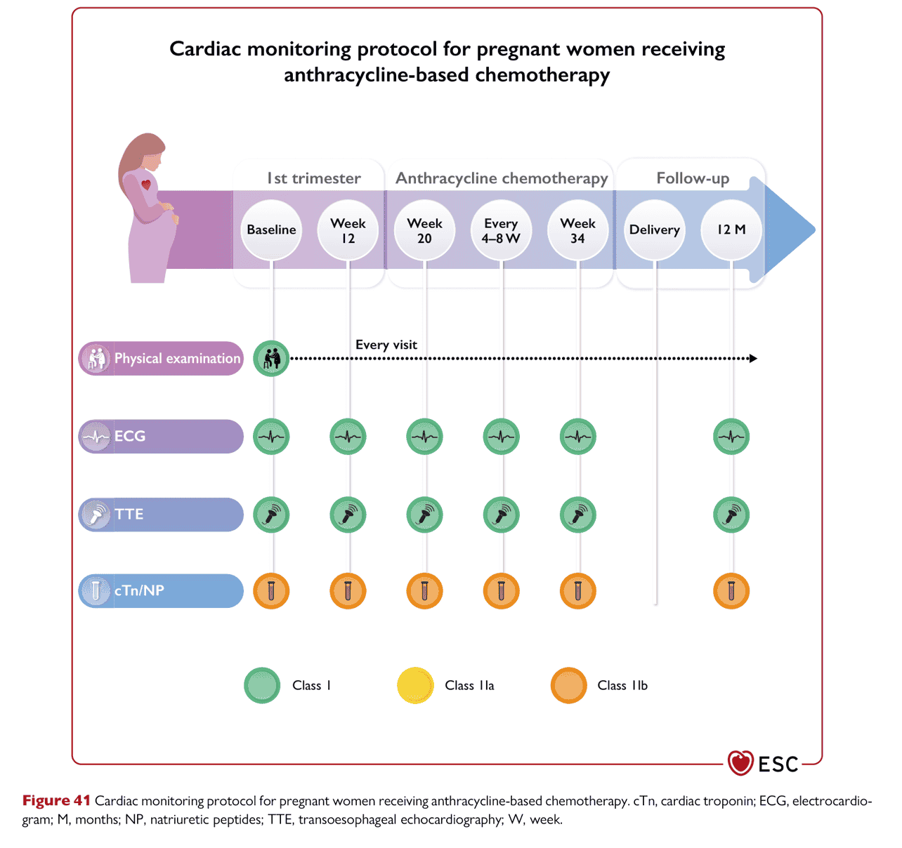 ESC cardioonc2022 — Figure 41