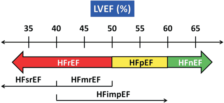 CHF 共識 — Figure 2 新分類