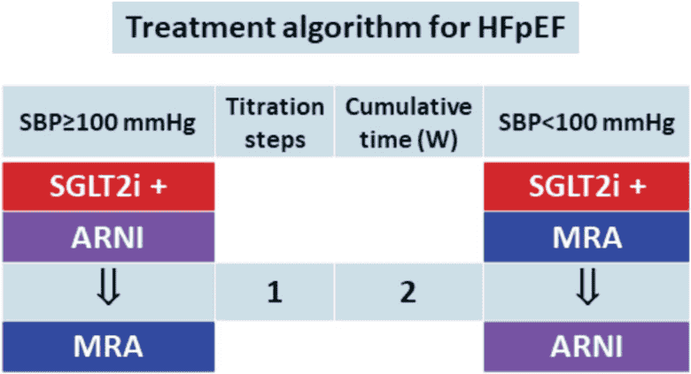 CHF 共識 — Figure 6 HFpEF 演算法