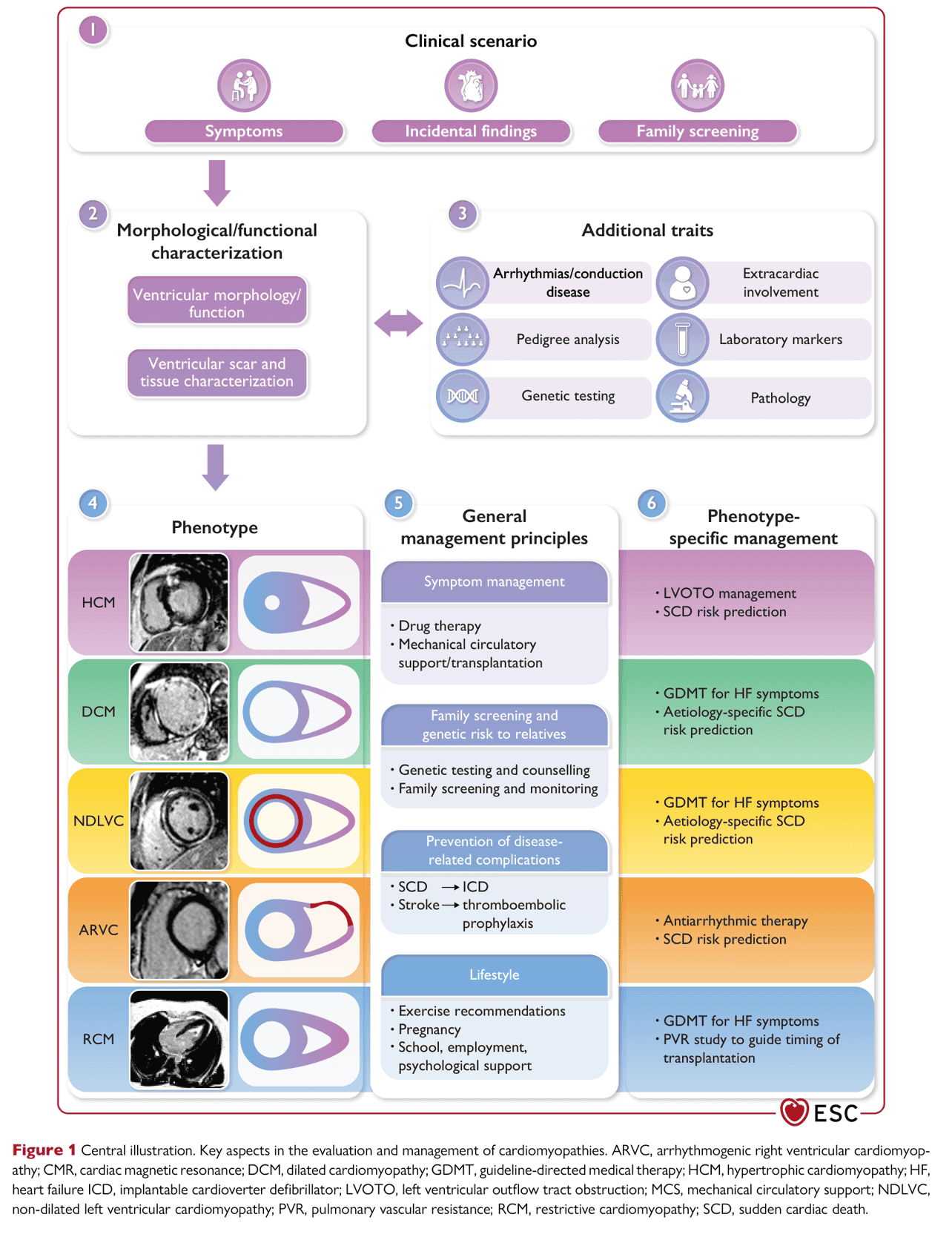 ESC cmp2023 — Figure 1 Central illustration