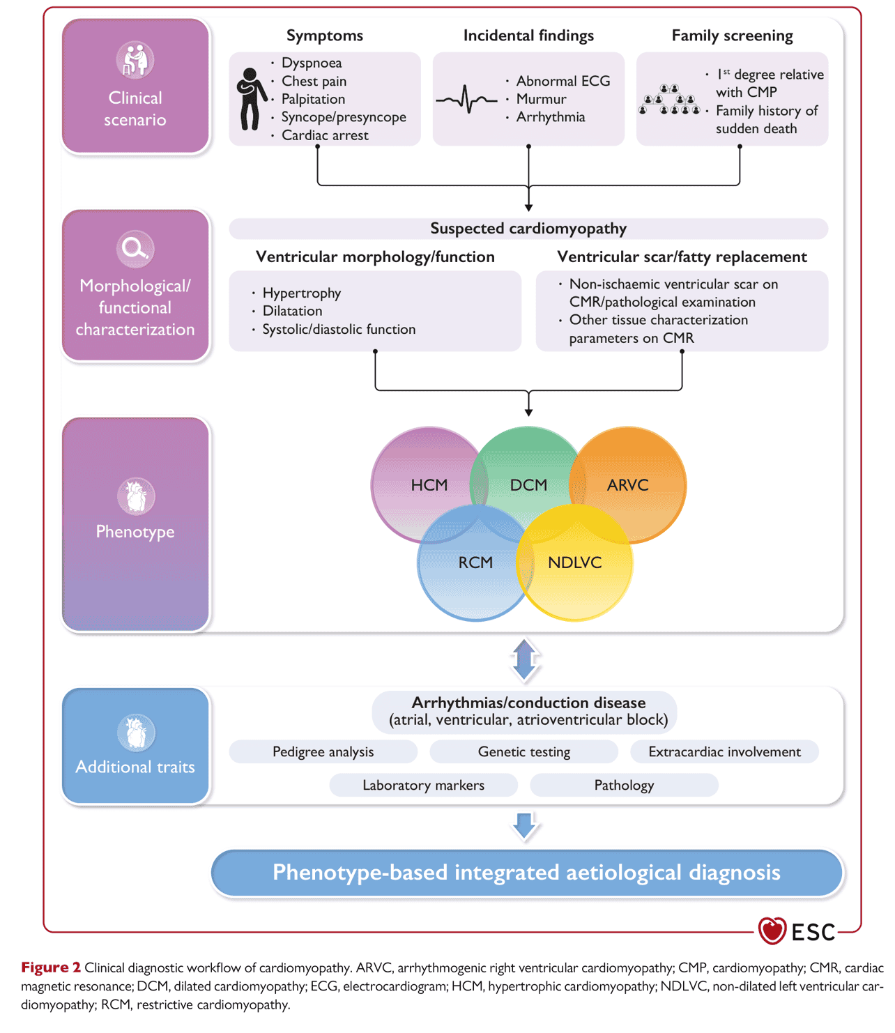 ESC cmp2023 — Figure 2 診斷流程