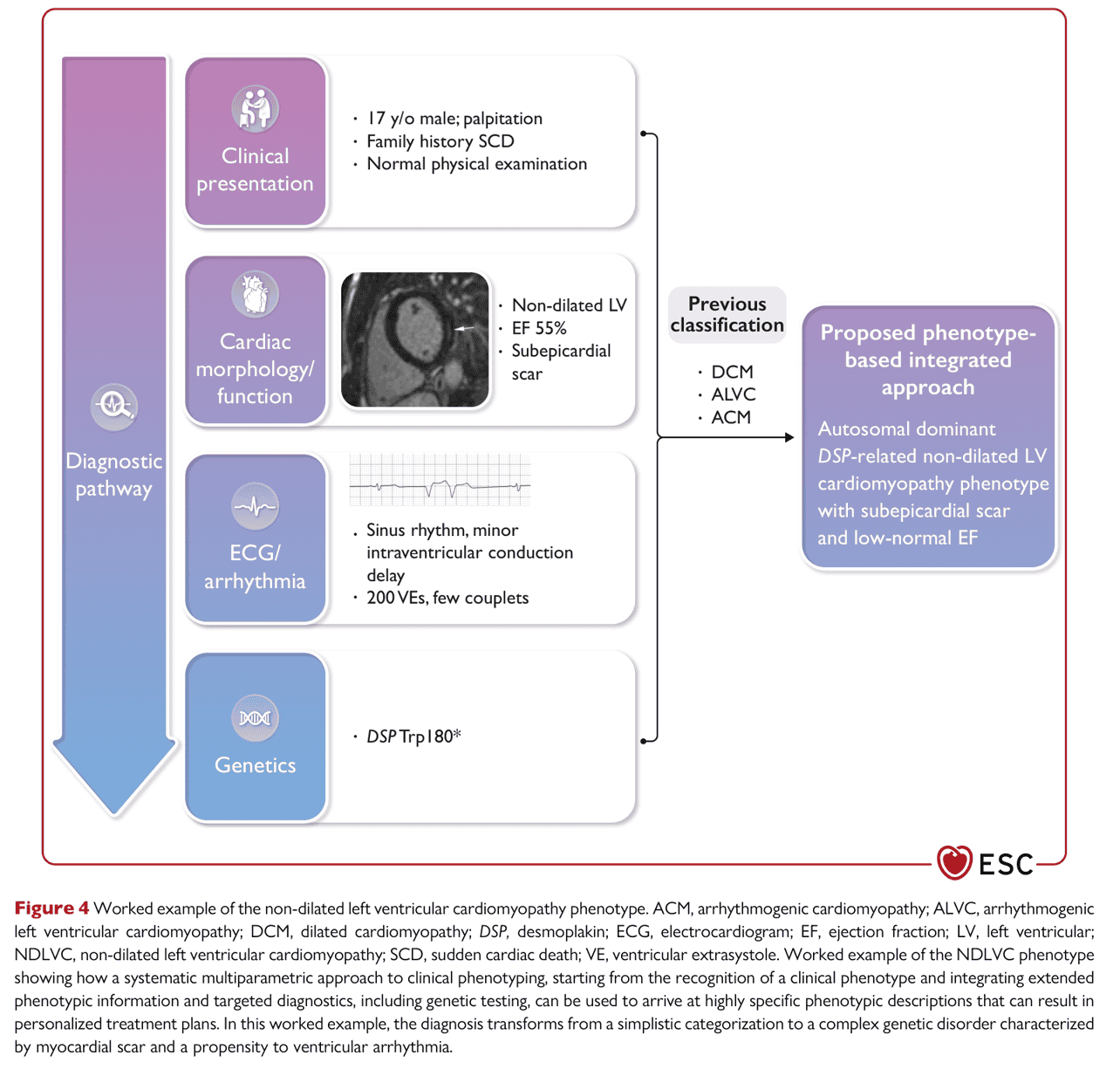 ESC cmp2023 — Figure 4 NDLVC 實例