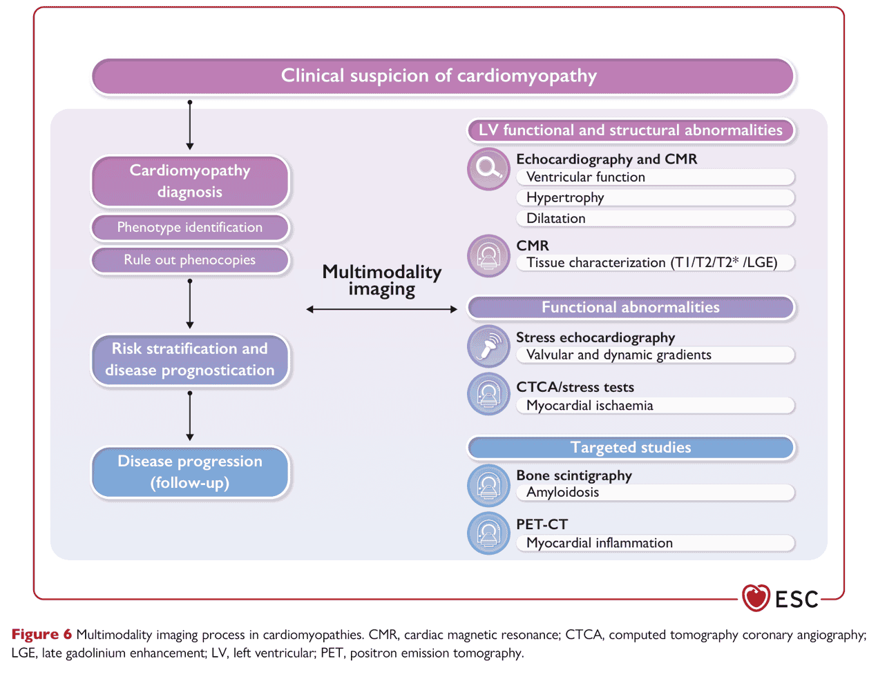 ESC cmp2023 — Figure 6 多模影像流程
