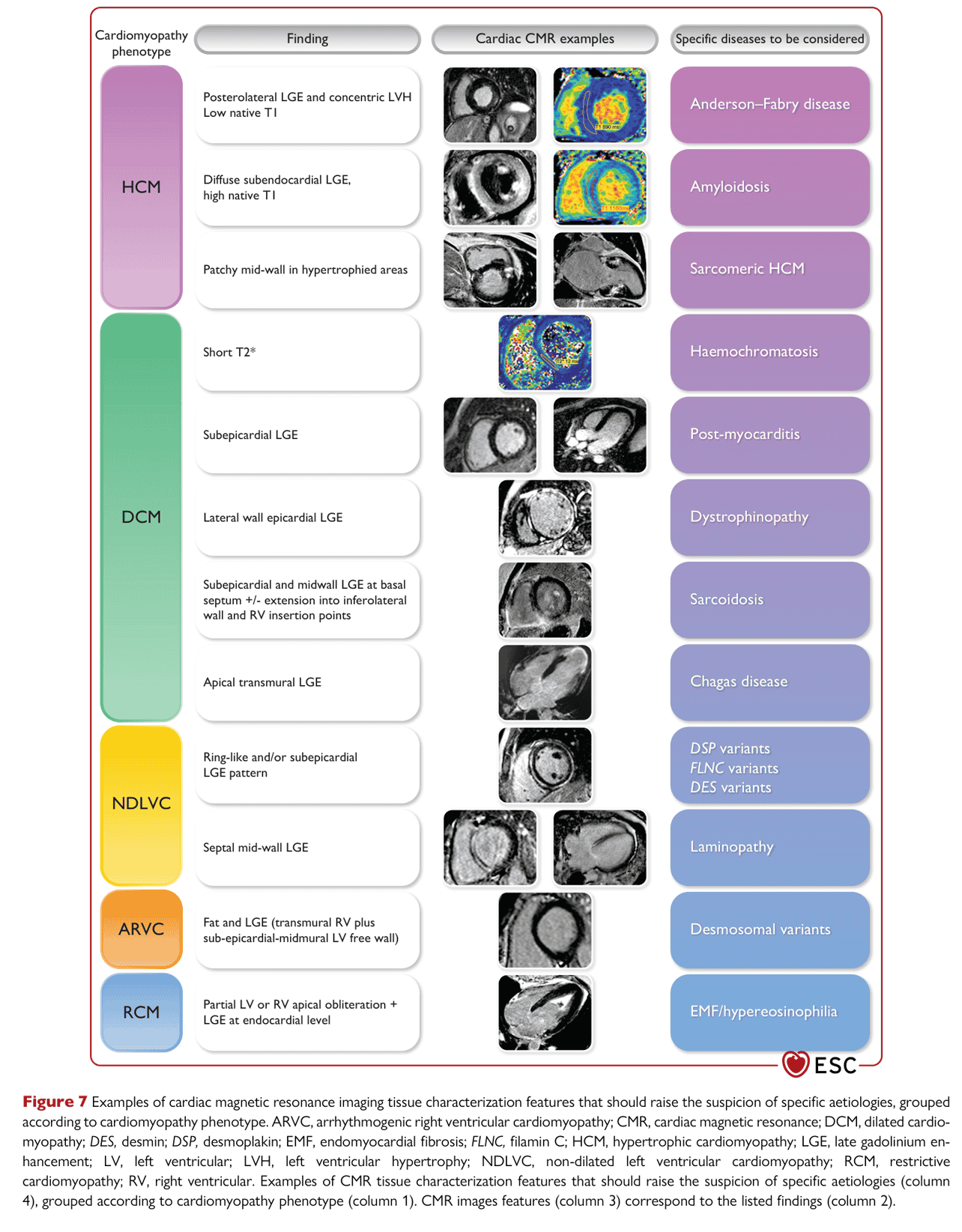 ESC cmp2023 — Figure 7 CMR 組織特徵