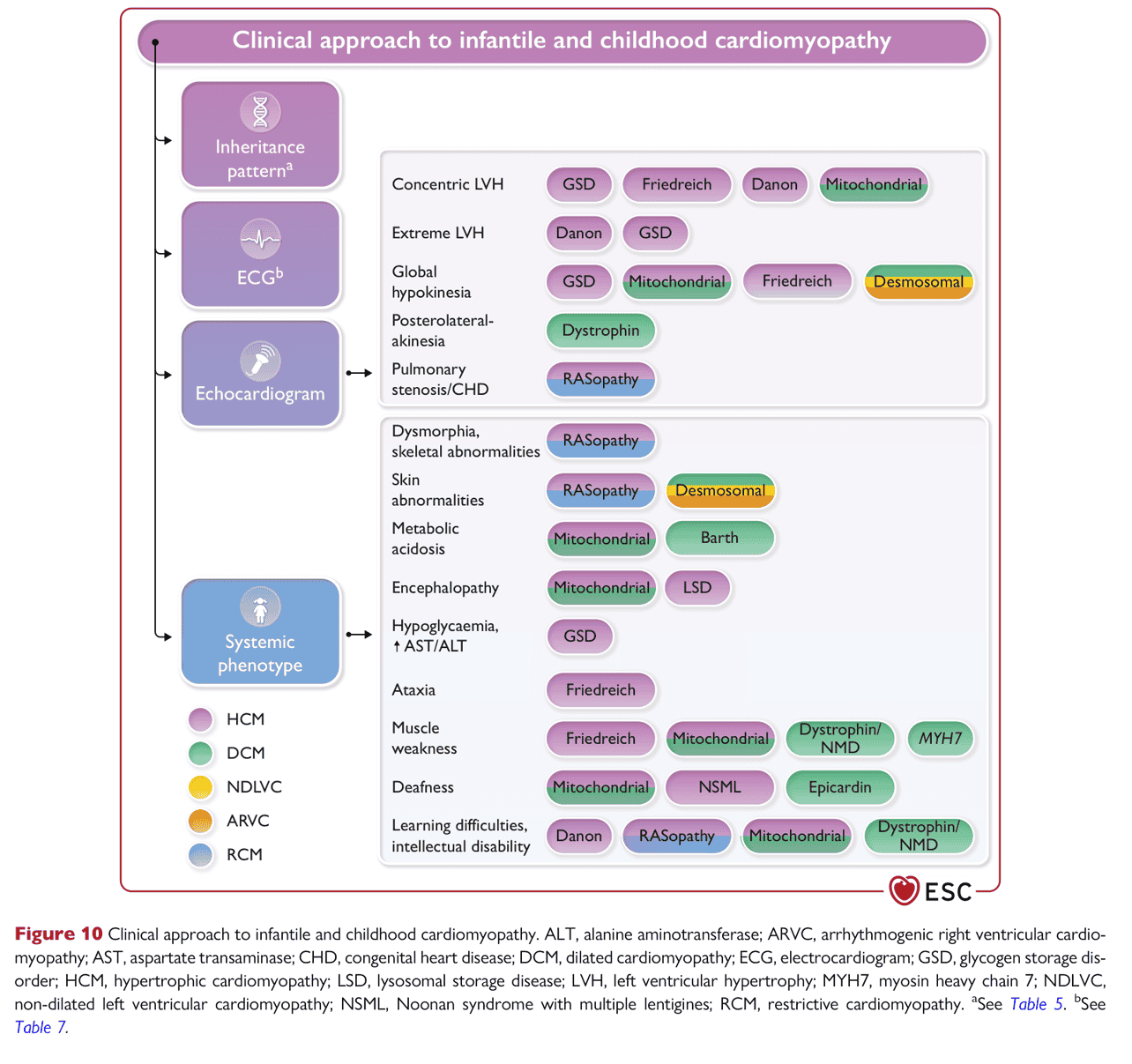 ESC cmp2023 — Figure 10 嬰幼兒 cardiomyopathy