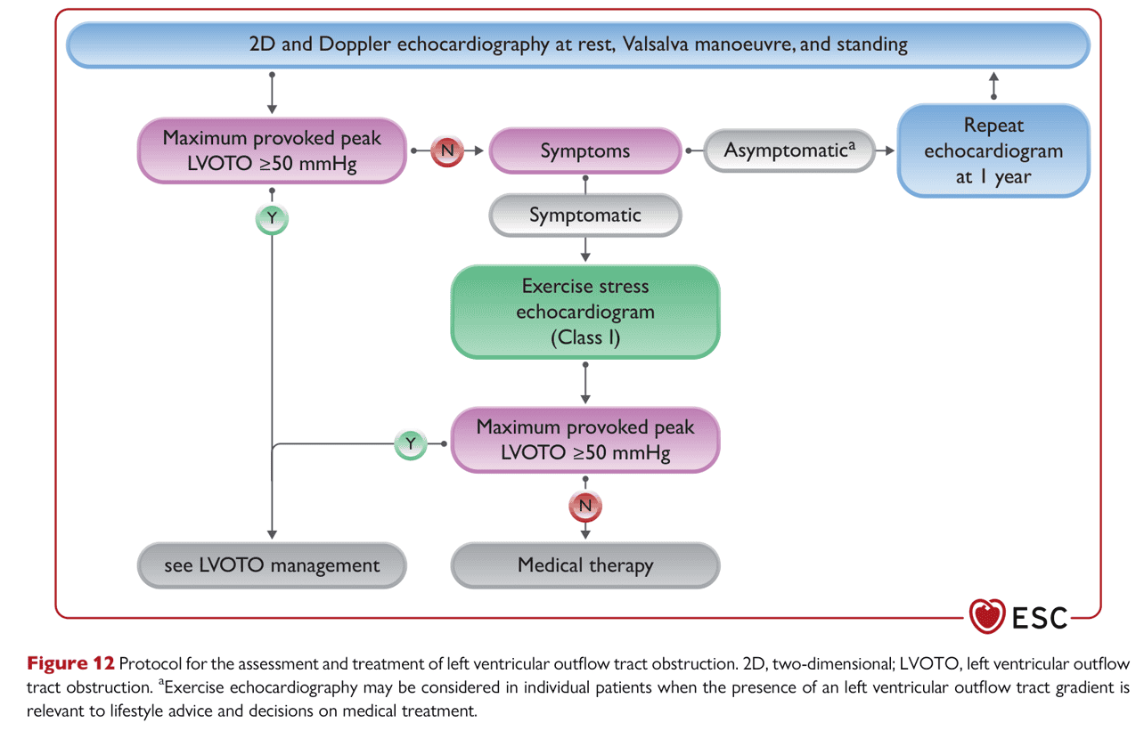 ESC cmp2023 — Figure 12 LVOTO 評估