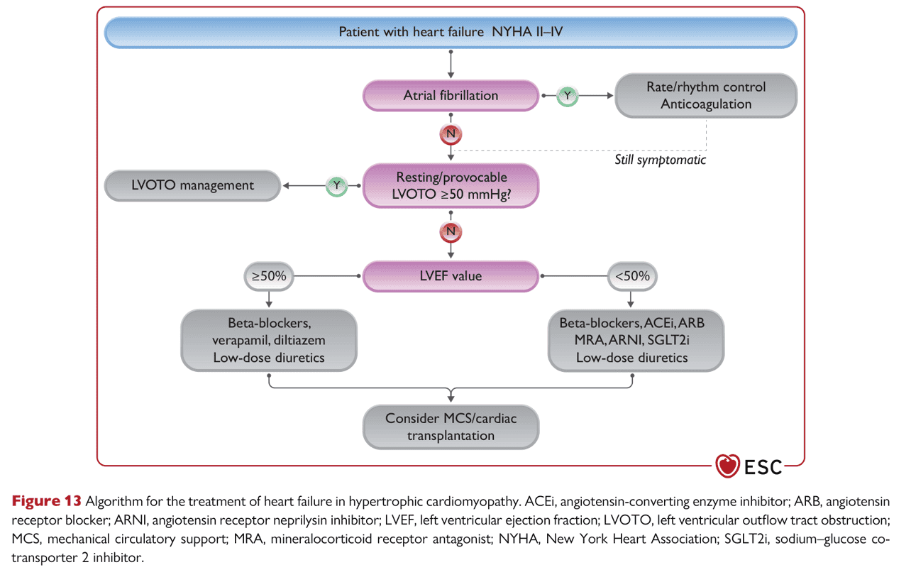 ESC cmp2023 — Figure 13 HCM 心衰竭