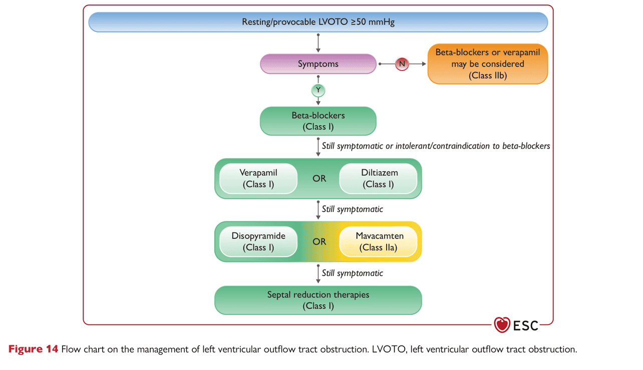 ESC cmp2023 — Figure 14 LVOTO 藥物階梯