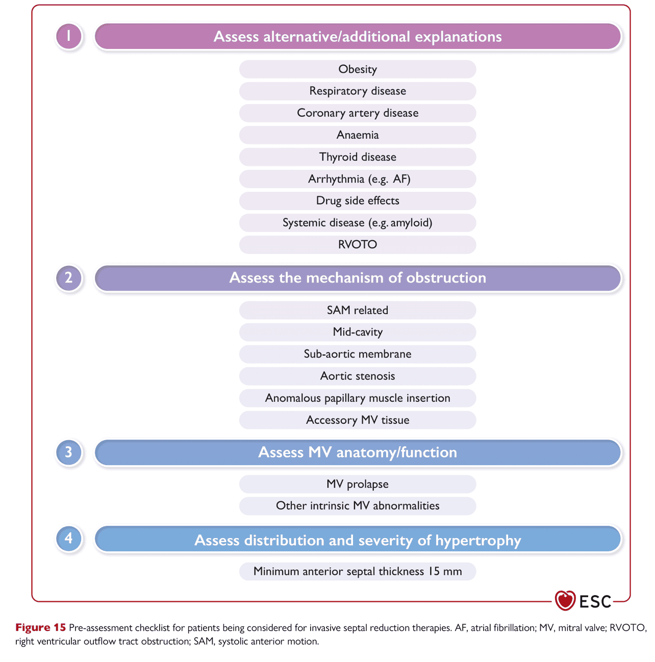 ESC cmp2023 — Figure 15 SRT 前檢查清單