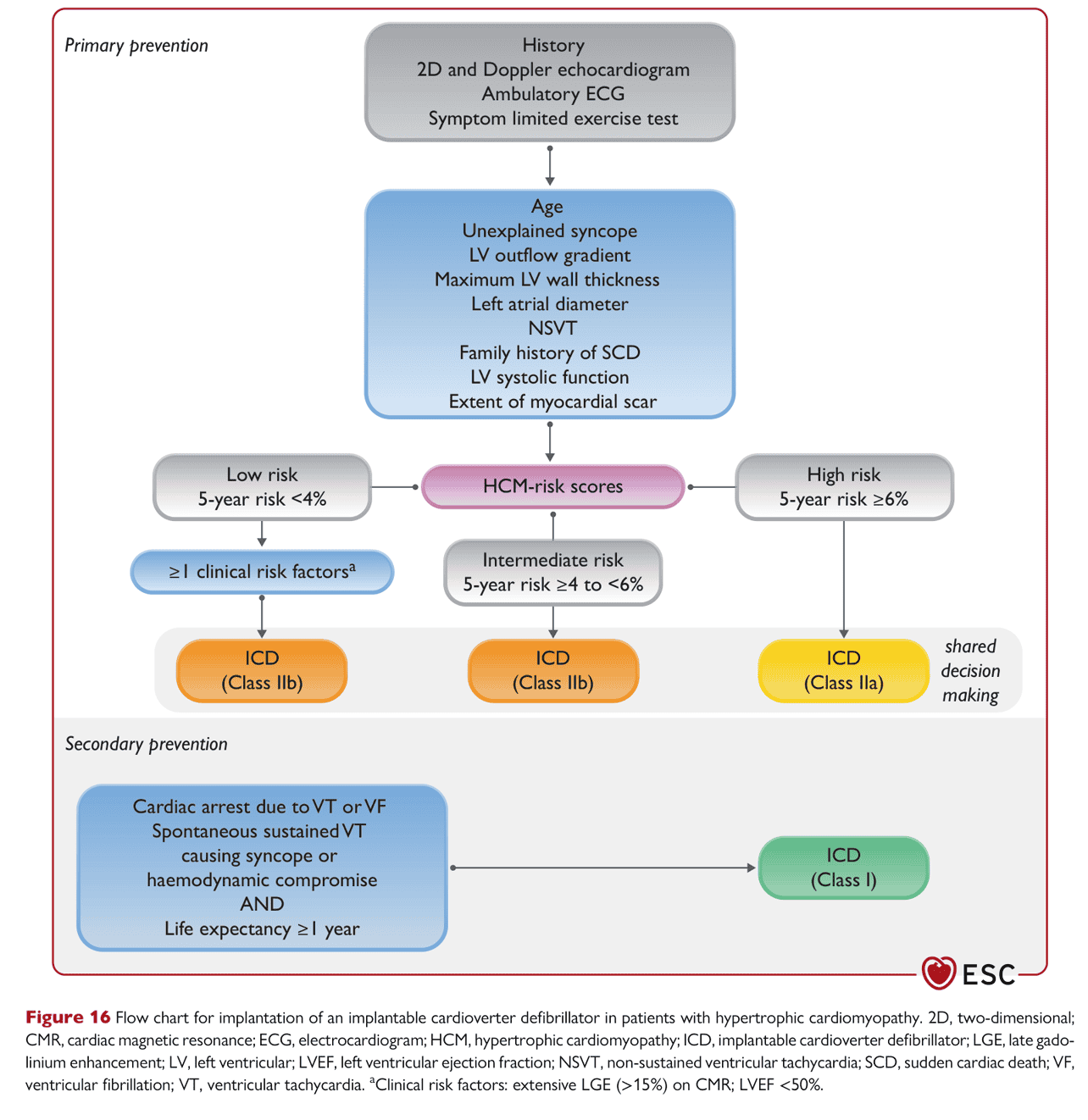 ESC cmp2023 — Figure 16 HCM 一級預防 ICD