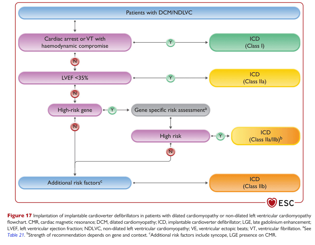 ESC cmp2023 — Figure 17 DCM/NDLVC ICD