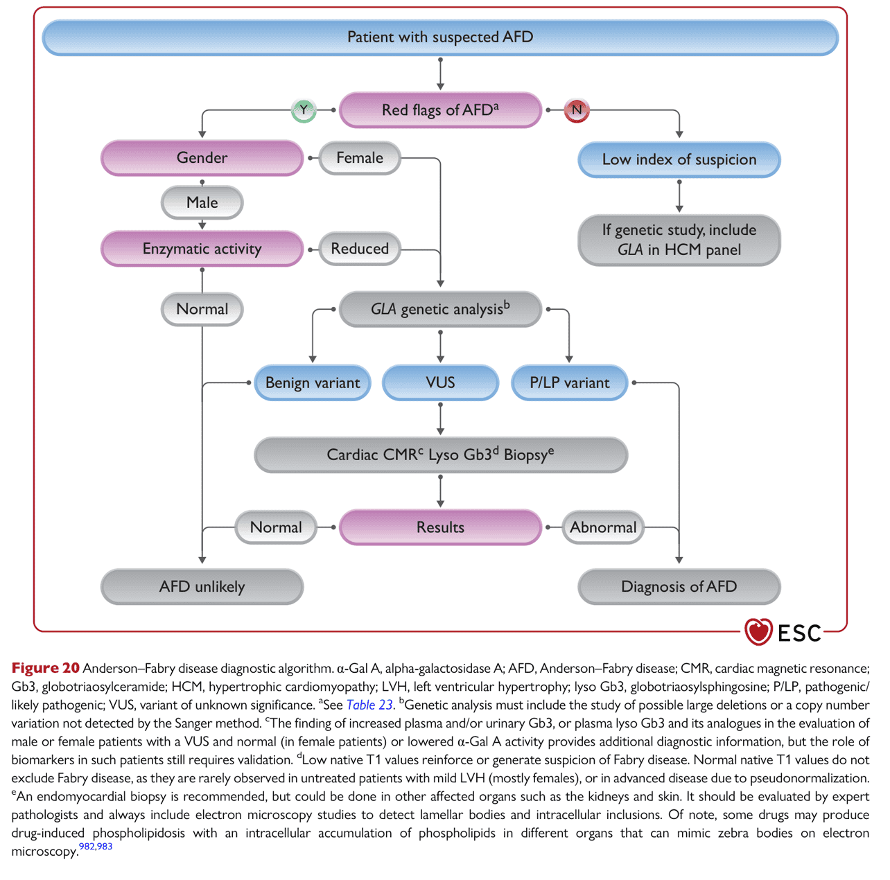 ESC cmp2023 — Figure 20 Fabry 診斷演算法