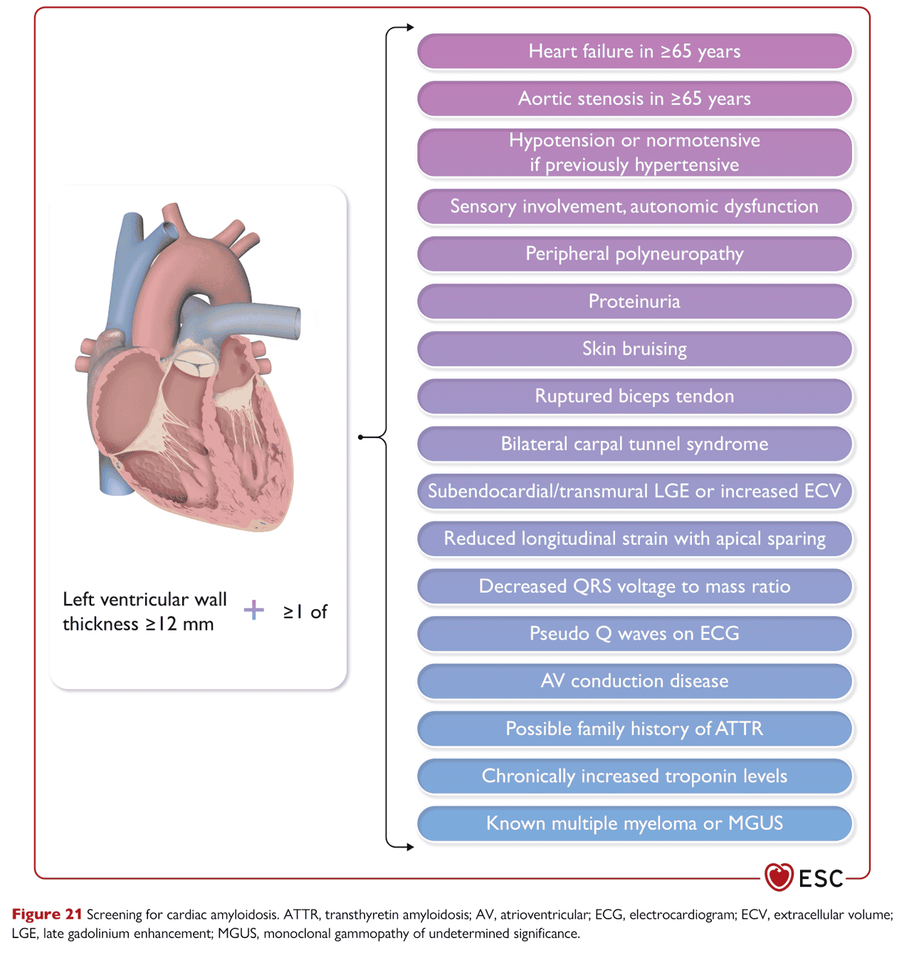 ESC cmp2023 — Figure 21 心臟類澱粉篩檢