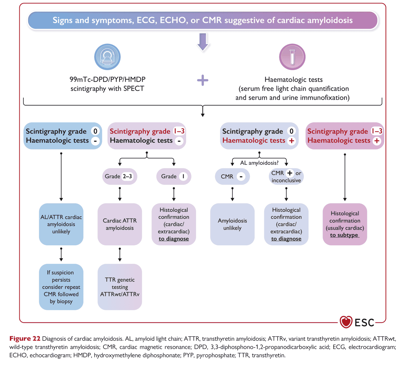 ESC cmp2023 — Figure 22 心臟類澱粉診斷