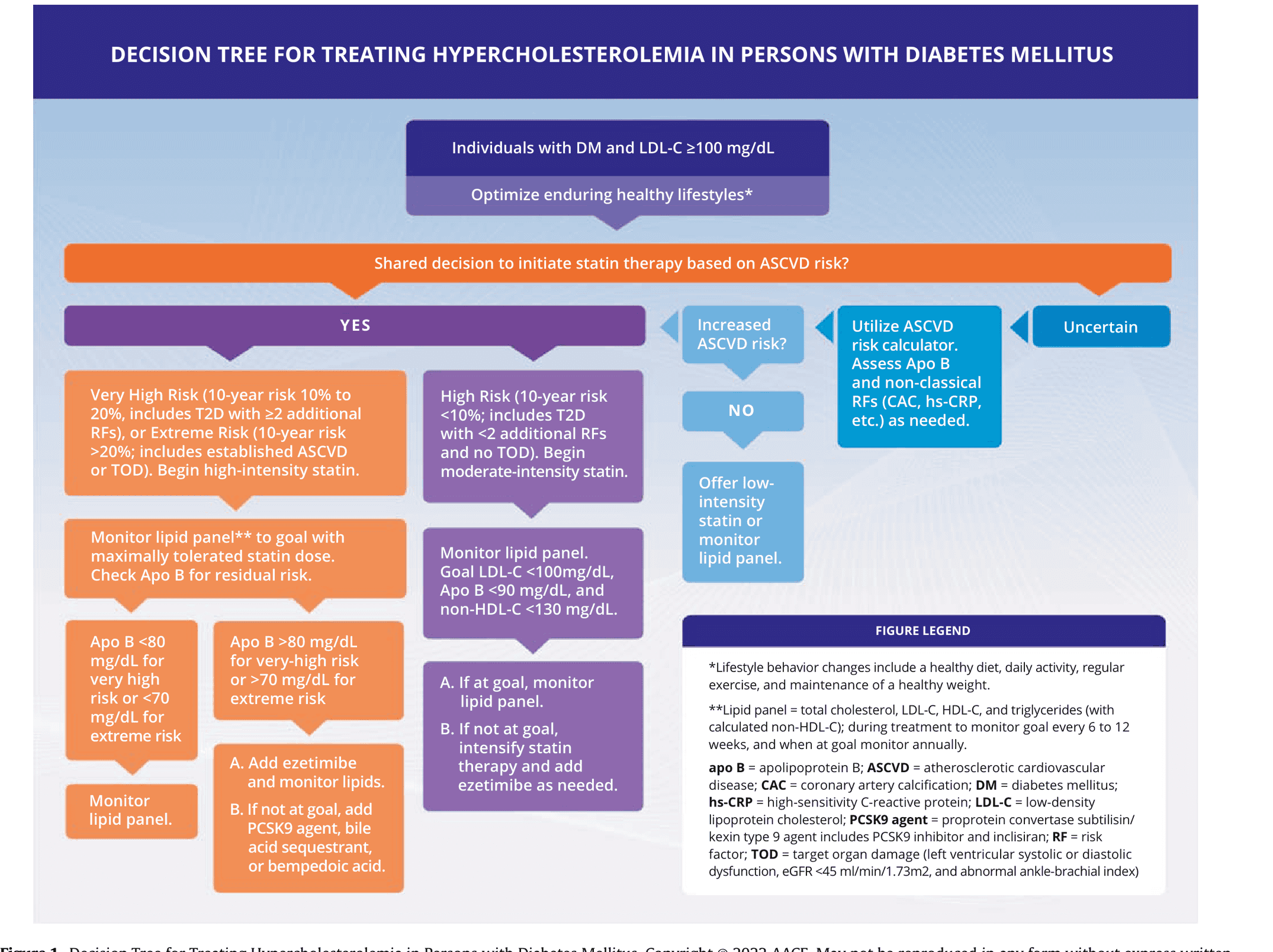 ACC/AHA dm2022aace — Figure 1