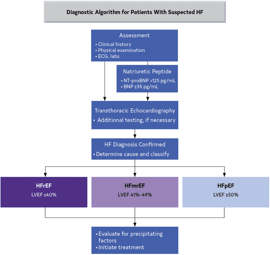 ACC/AHA hf2022 — Figure 4
