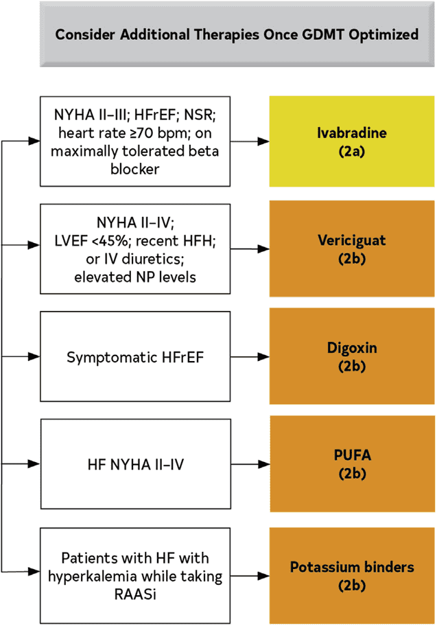 ACC/AHA hf2022 — Figure 7
