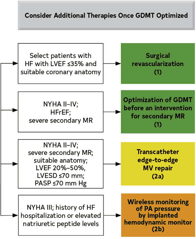 ACC/AHA hf2022 — Figure 9