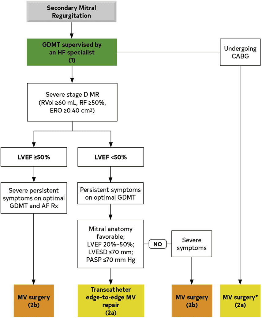 ACC/AHA hf2022 — Figure 10