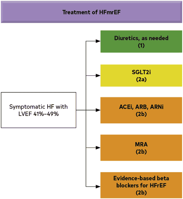ACC/AHA hf2022 — Figure 11