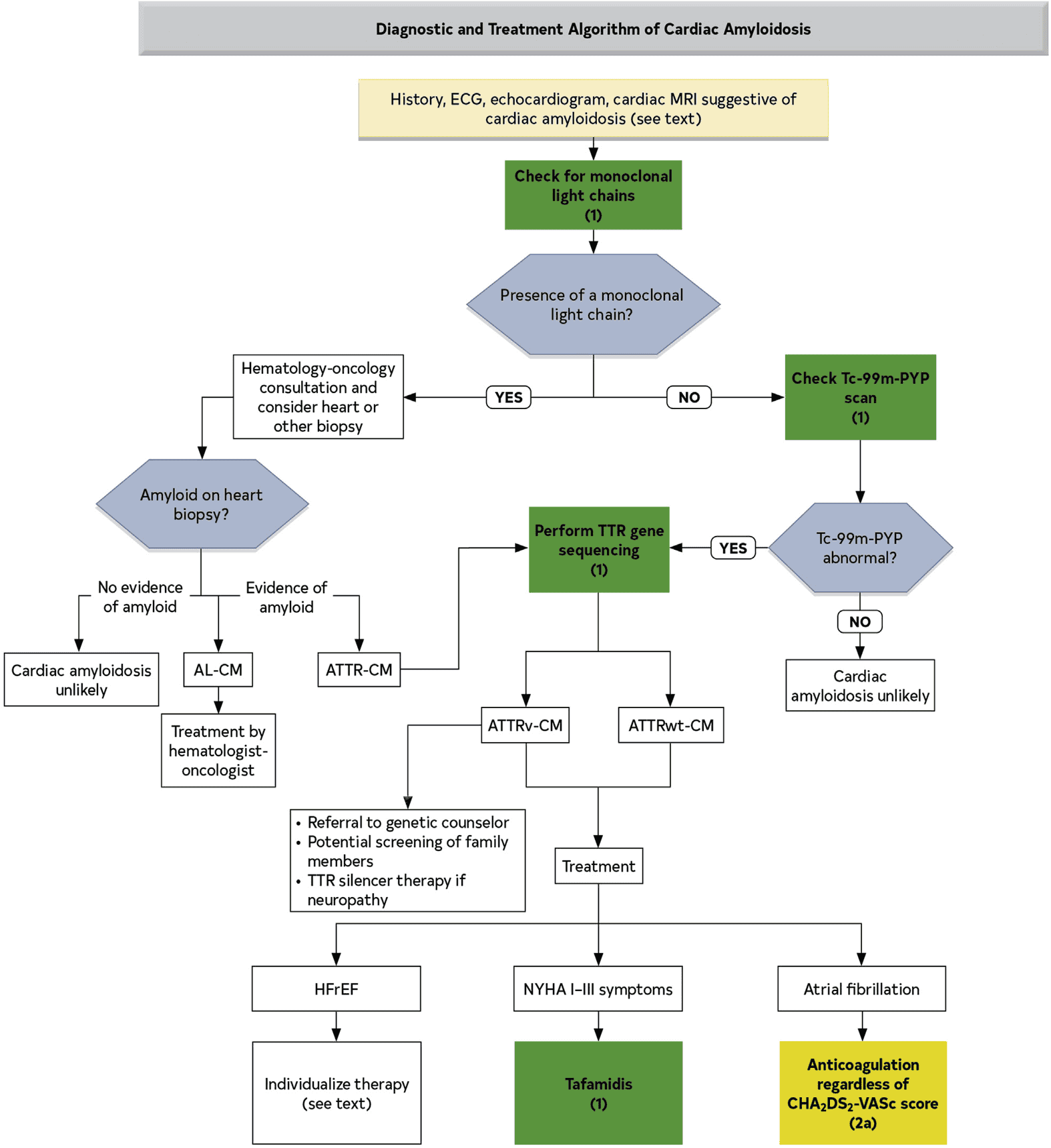 ACC/AHA hf2022 — Figure 13