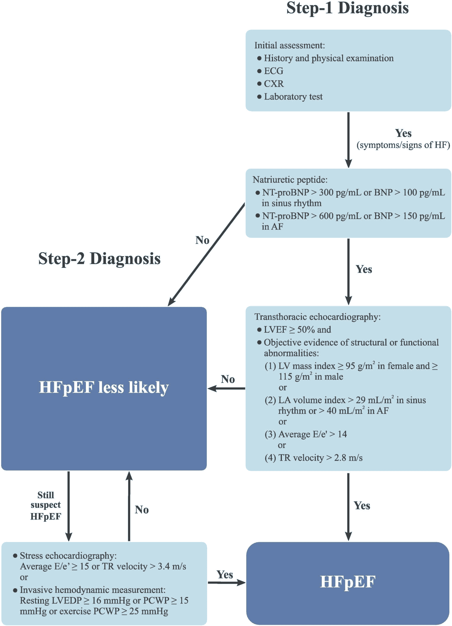 HFpEF 指引 — Figure 1 2 步驟診斷流程