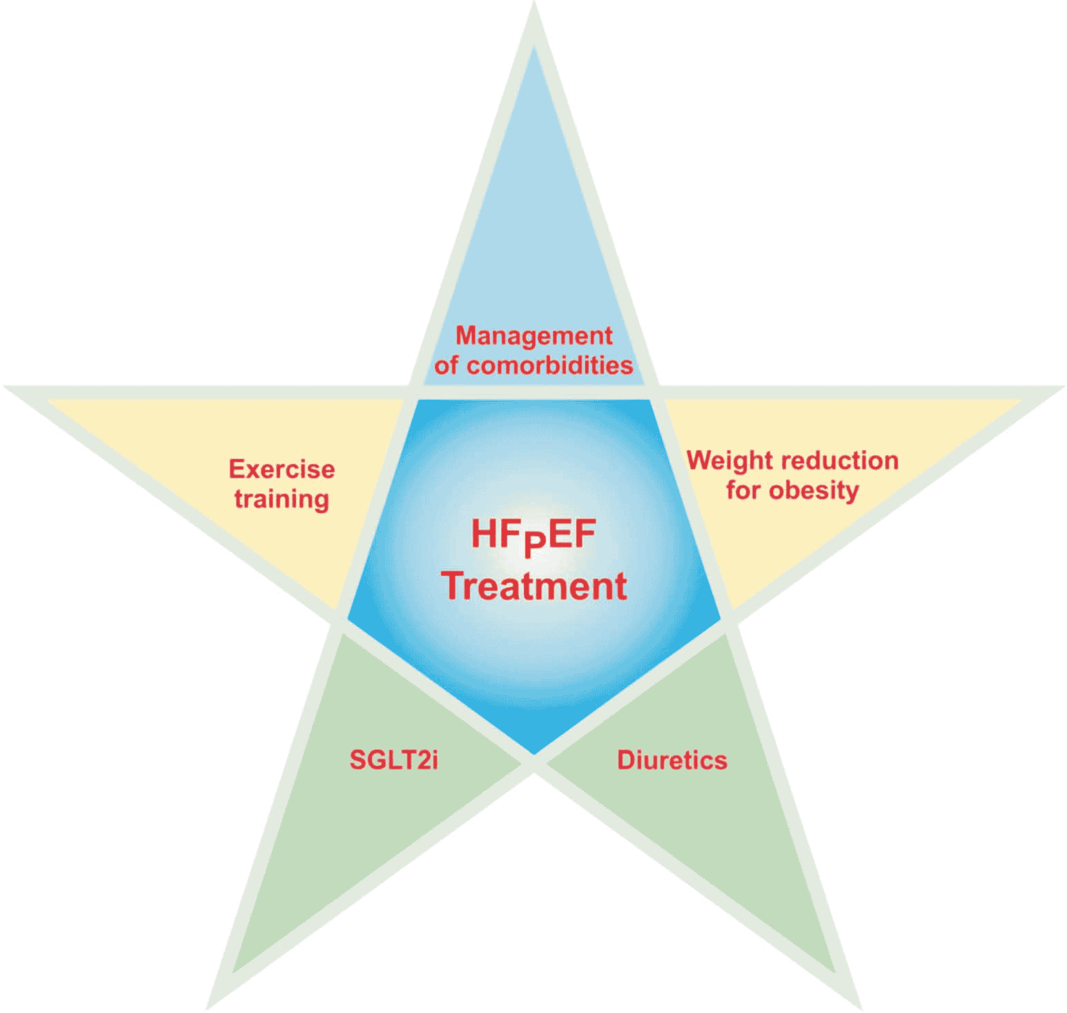 HFpEF 指引 — Figure 2 治療總覽