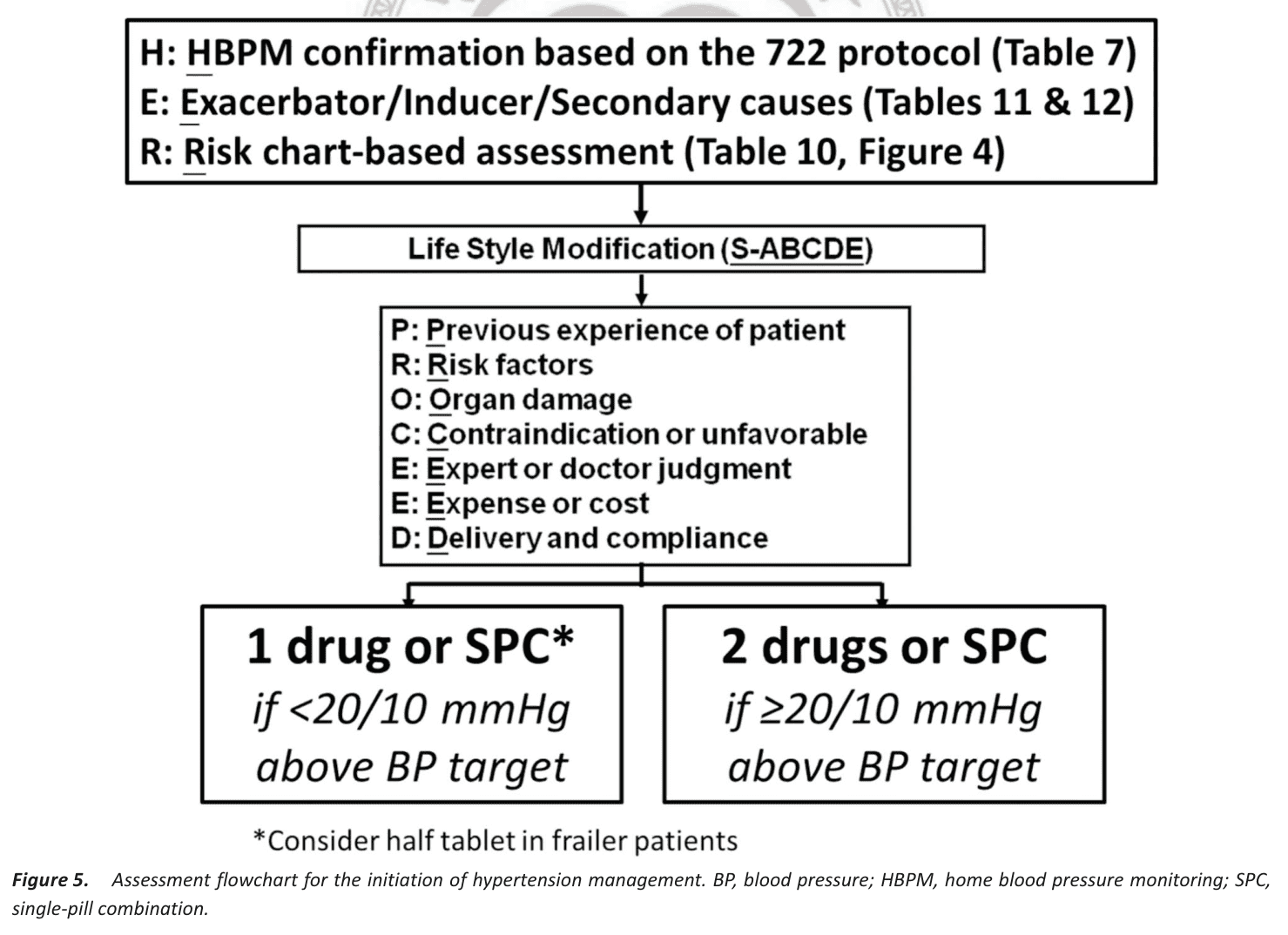 Figure 5 assessment flowchart initiation